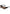685a88de881ef.jpg