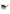 6a05f962866d6.jpg